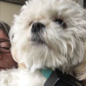 Meet your Posher, Sheila